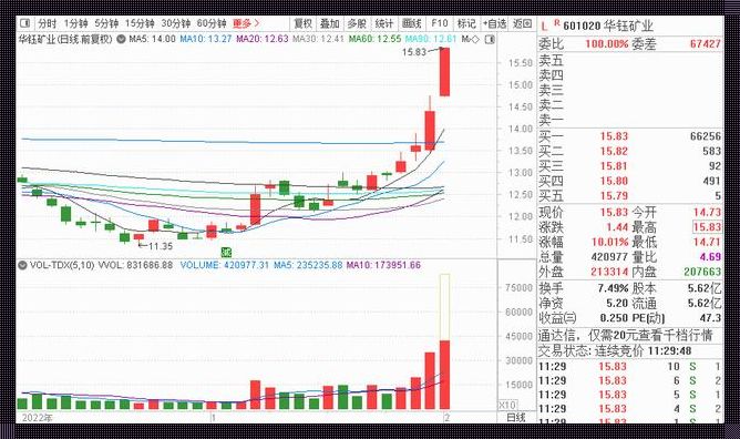 成飞集团股票：投资者眼中的新星