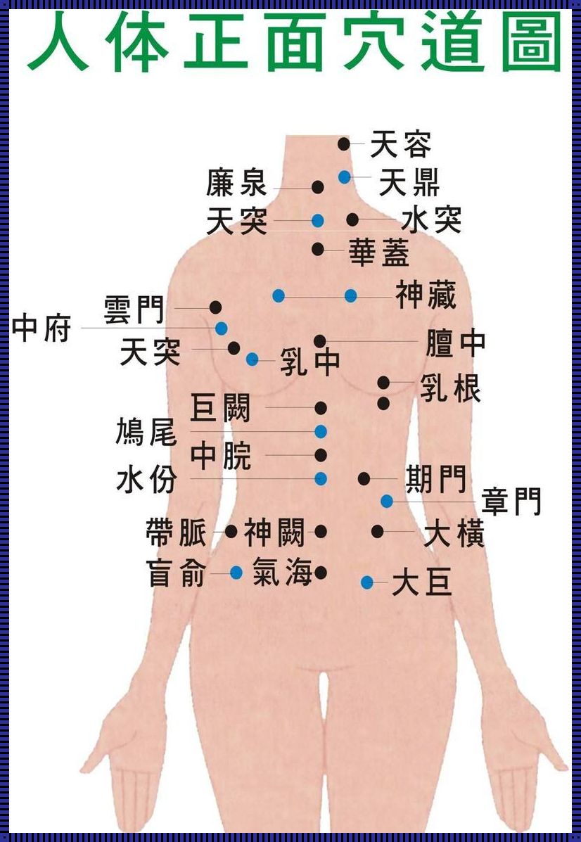 胸部穴位图（丰胸按哪几个穴位 乳中穴知道在哪儿么）