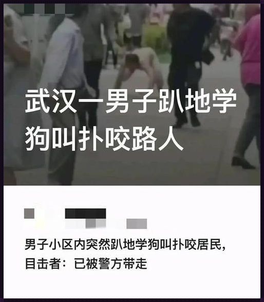 趴在地上学狗叫的文章，你敢写吗？