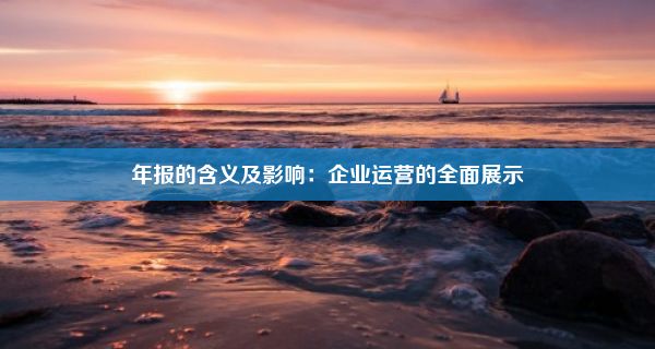 年报的含义及影响：企业运营的全面展示