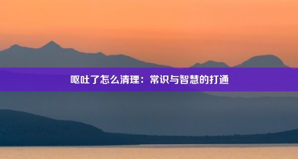 呕吐了怎么清理：常识与智慧的打通