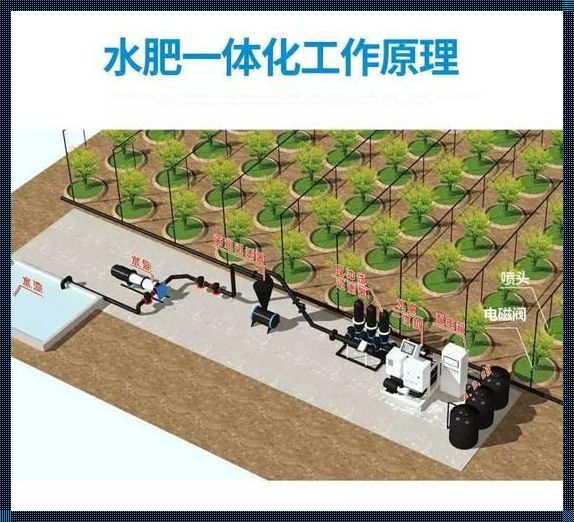 太极拳的小技巧：如何利用jy灌溉收集系统提高健康水平