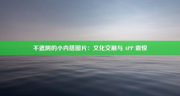 不遮阴的小内搭图片：文化交融与 APP 震惊