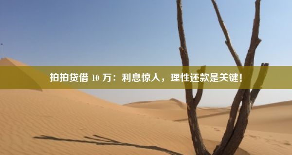 拍拍贷借 10 万：利息惊人，理性还款是关键！