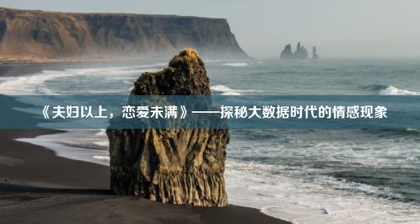 《夫妇以上，恋爱未满》——探秘大数据时代的情感现象