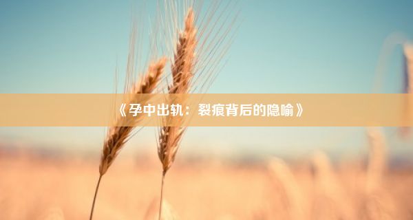 《孕中出轨：裂痕背后的隐喻》