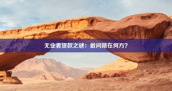 无业者贷款之谜：敢问路在何方？