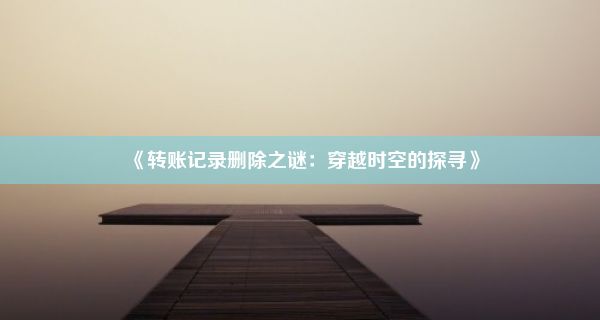 《转账记录删除之谜：穿越时空的探寻》