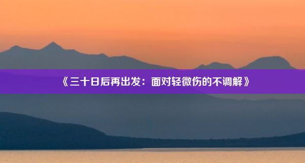 《三十日后再出发：面对轻微伤的不调解》