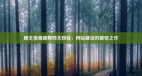 魏无羡雨露期四天四夜：网站建设的震惊之作