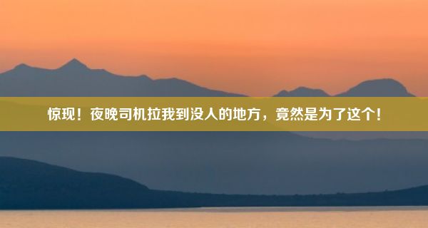 惊现！夜晚司机拉我到没人的地方，竟然是为了这个！