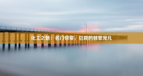 化工之魅：名门惊爱，总裁的替罪宠儿