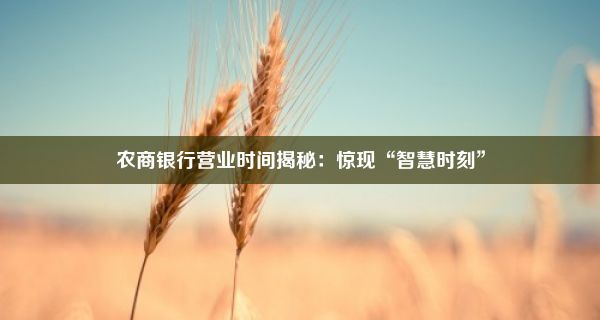 农商银行营业时间揭秘：惊现“智慧时刻”