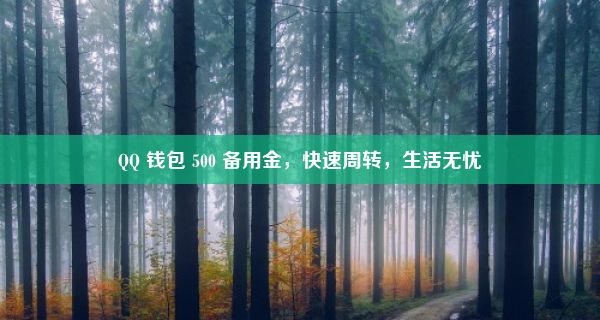 QQ 钱包 500 备用金，快速周转，生活无忧