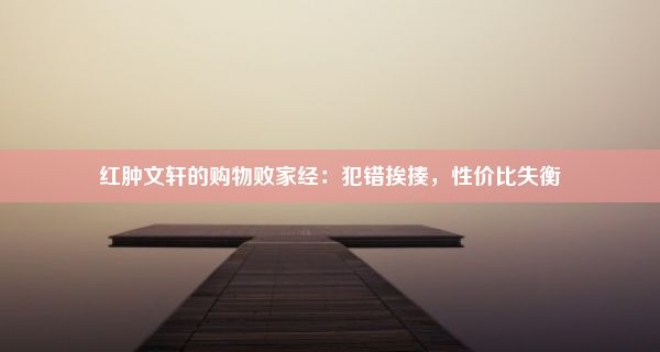 红肿文轩的购物败家经：犯错挨揍，性价比失衡