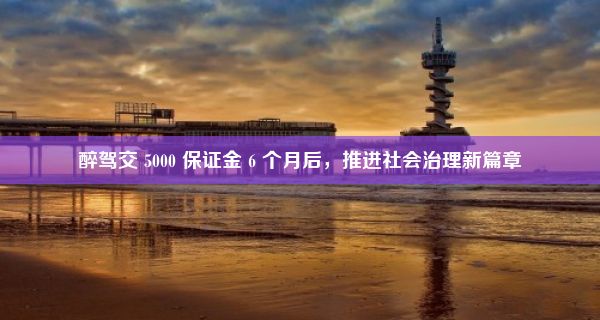 醉驾交 5000 保证金 6 个月后，推进社会治理新篇章