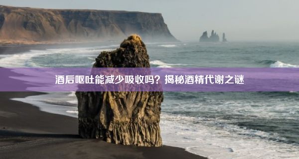 酒后呕吐能减少吸收吗？揭秘酒精代谢之谜