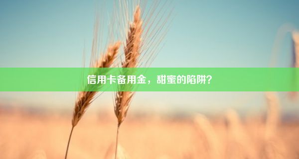 信用卡备用金，甜蜜的陷阱？