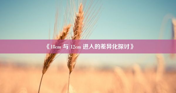 《18cm 与 12cm 进入的差异化探讨》