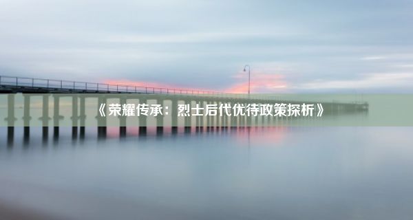 《荣耀传承：烈士后代优待政策探析》