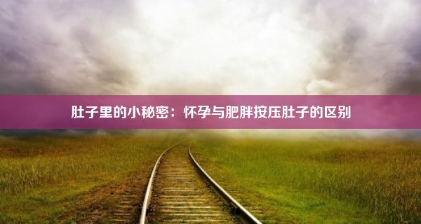 肚子里的小秘密：怀孕与肥胖按压肚子的区别