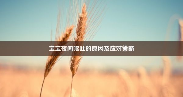 宝宝夜间呕吐的原因及应对策略