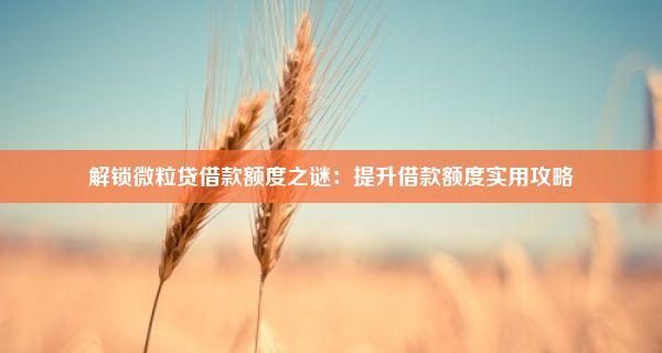 解锁微粒贷借款额度之谜：提升借款额度实用攻略