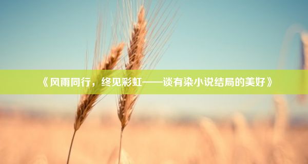 《风雨同行，终见彩虹——谈有染小说结局的美好》