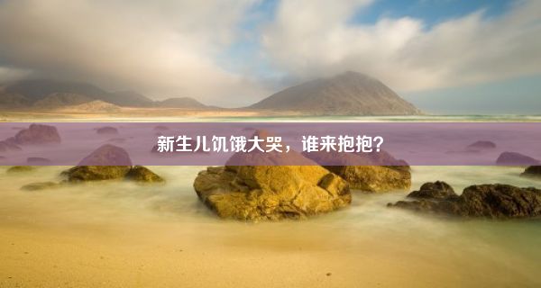 新生儿饥饿大哭，谁来抱抱？