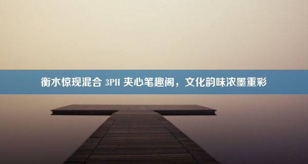 衡水惊现混合 3PH 夹心笔趣阁，文化韵味浓墨重彩