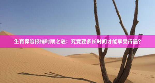 生育保险报销时限之谜：究竟要多长时间才能享受待遇？