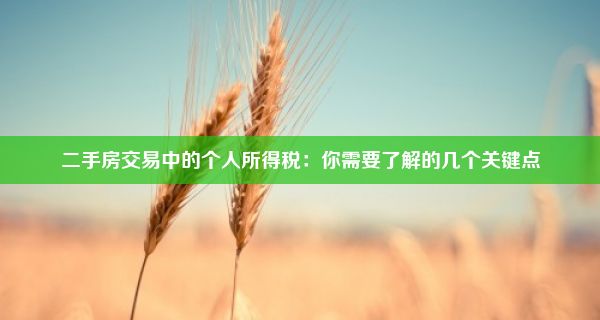 二手房交易中的个人所得税：你需要了解的几个关键点