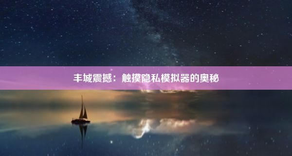 丰城震撼：触摸隐私模拟器的奥秘