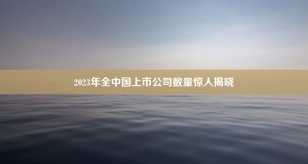 2023年全中国上市公司数量惊人揭晓