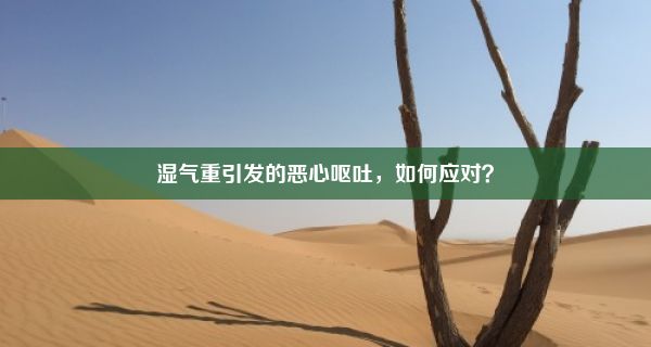 湿气重引发的恶心呕吐，如何应对？