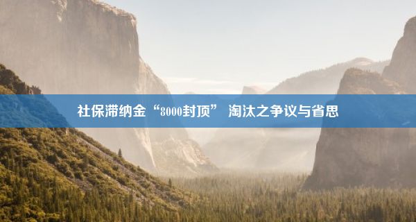 社保滞纳金“8000封顶” 淘汰之争议与省思