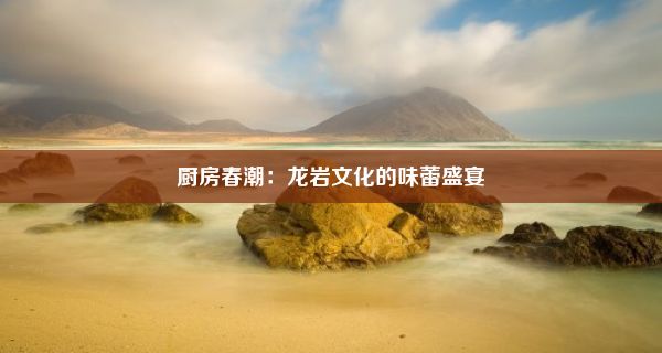 厨房春潮：龙岩文化的味蕾盛宴