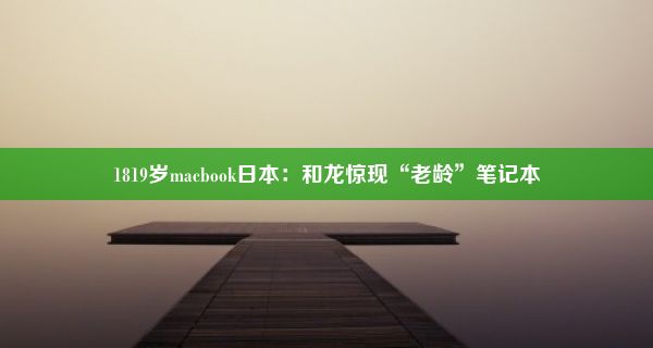 1819岁macbook日本：和龙惊现“老龄”笔记本