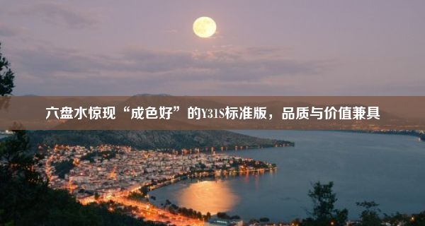 六盘水惊现“成色好”的Y31S标准版，品质与价值兼具