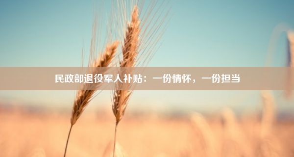 民政部退役军人补贴：一份情怀，一份担当