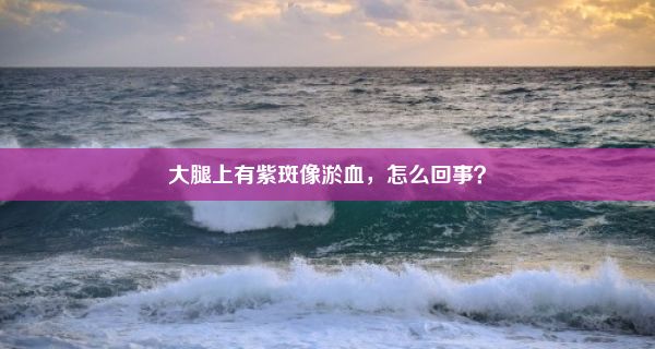 大腿上有紫斑像淤血，怎么回事？