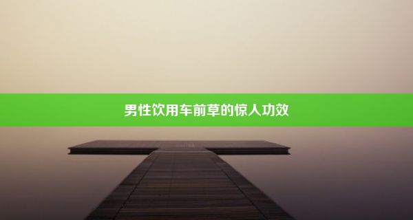 男性饮用车前草的惊人功效