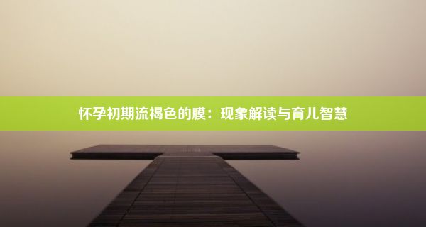 怀孕初期流褐色的膜：现象解读与育儿智慧