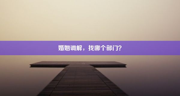 婚姻调解，找哪个部门？