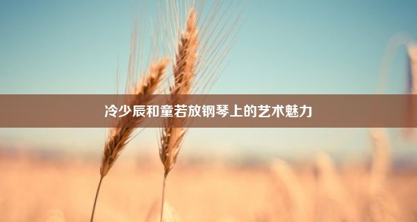 冷少辰和童若放钢琴上的艺术魅力