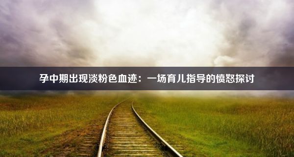 孕中期出现淡粉色血迹：一场育儿指导的愤怒探讨