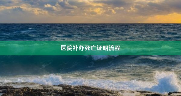 医院补办死亡证明流程