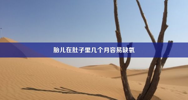 胎儿在肚子里几个月容易缺氧