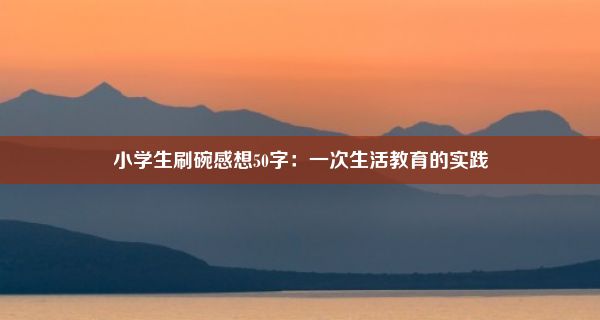 小学生刷碗感想50字：一次生活教育的实践