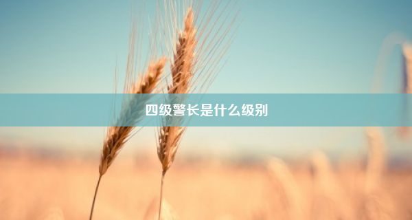 四级警长是什么级别